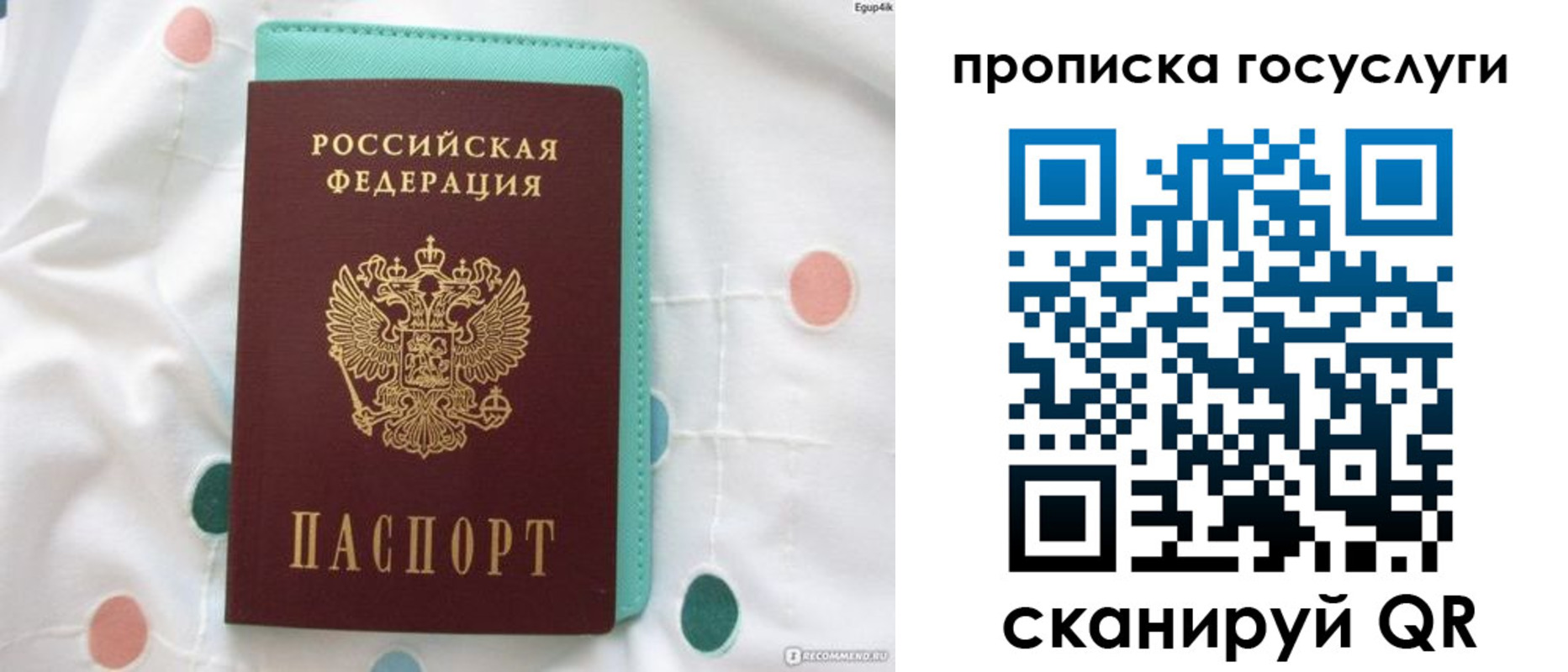 прописка поиск в Реутове